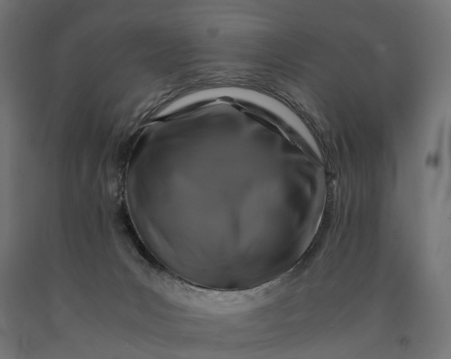 X0000090760031200708031640