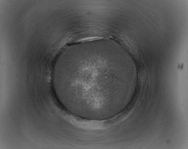 X0000090760032200708031640