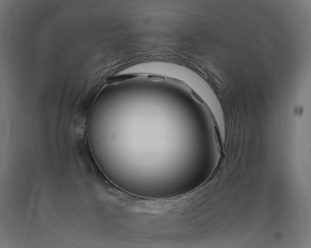 X0000090760033200708031640