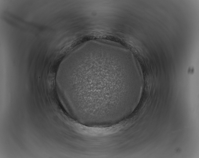 X0000090760034200708031640