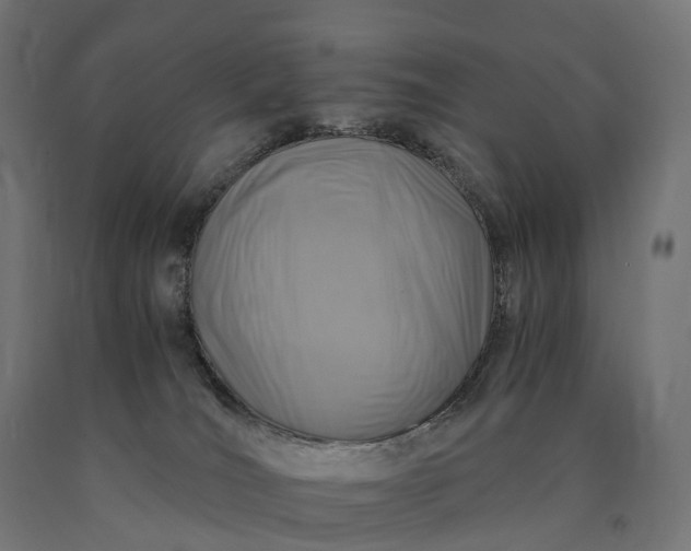 X0000090760036200708031640