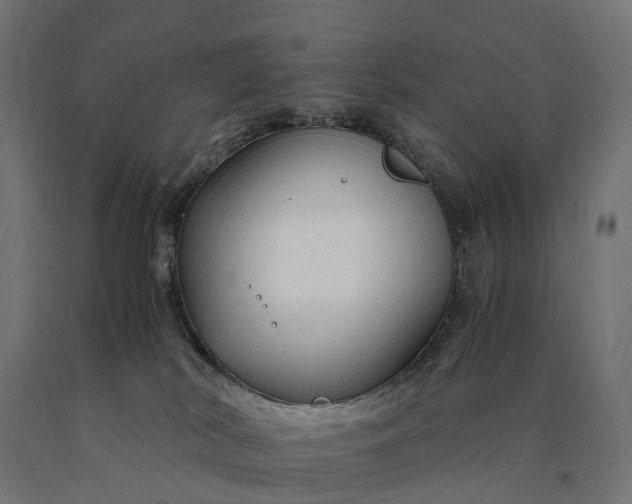 X0000090760038200708031640