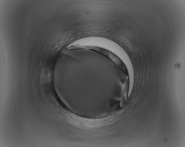 X0000090760039200708031640