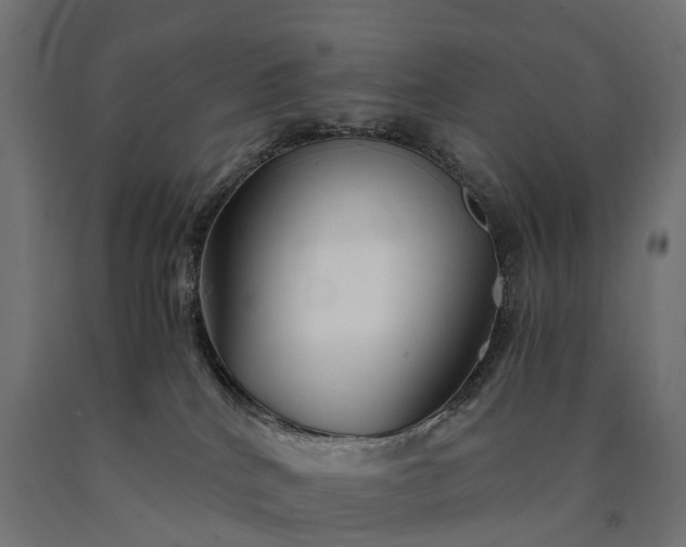 X0000090760040200708031640