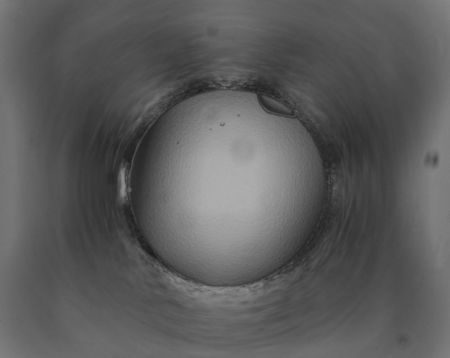 X0000090760042200708031640