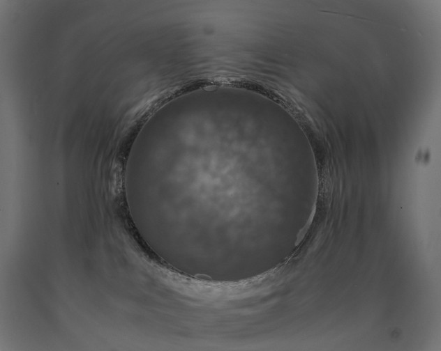 X0000090760043200708031640