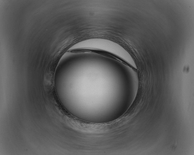 X0000090760044200708031640