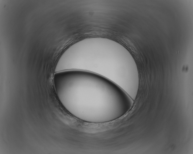 X0000090760045200708031640