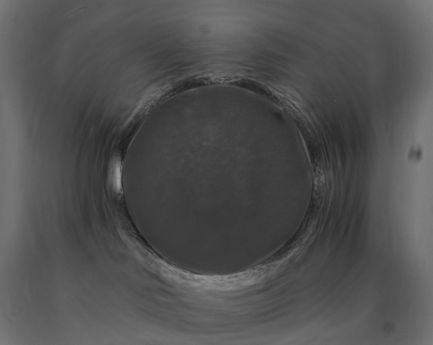 X0000090760046200708031640