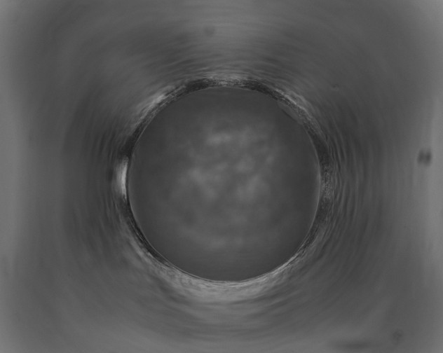 X0000090760047200708031640