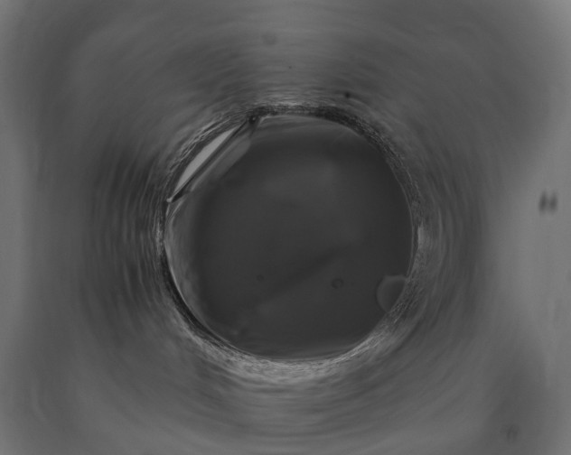 X0000090760048200708031640