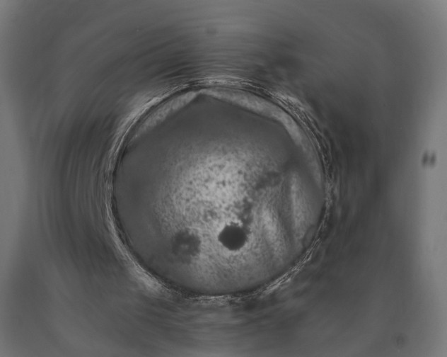 X0000090760049200708031639