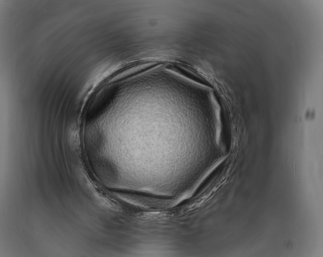 X0000090760050200708031639