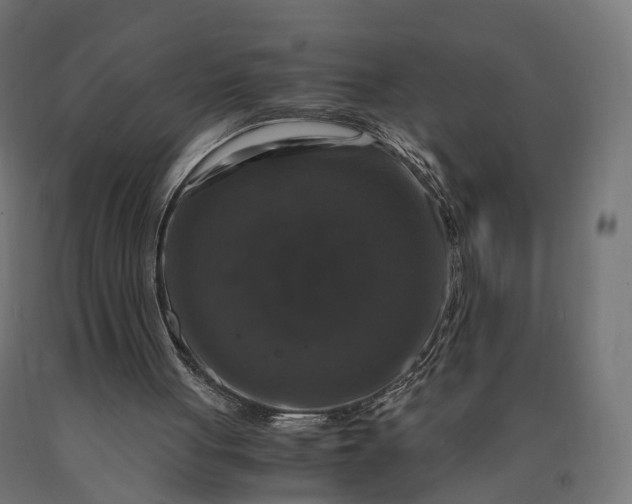 X0000090760051200708031639