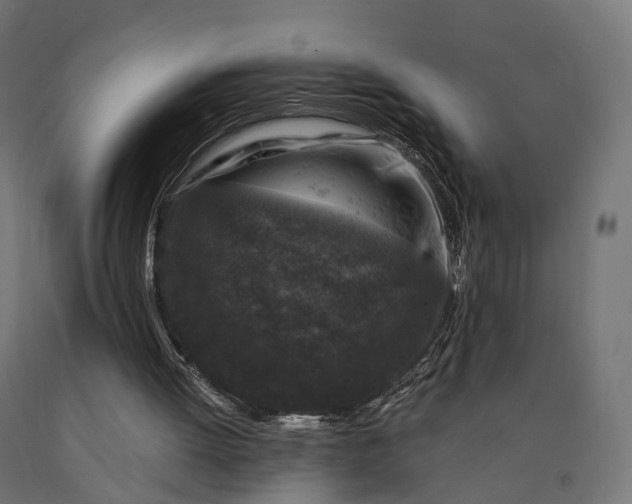 X0000090760052200708031639