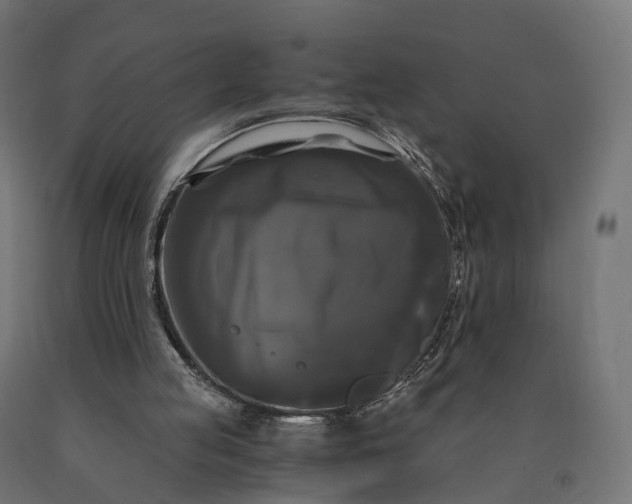 X0000090760053200708031639