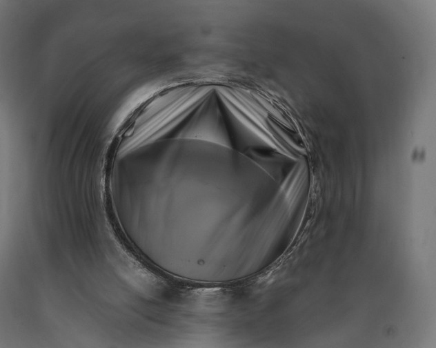 X0000090760054200708031639