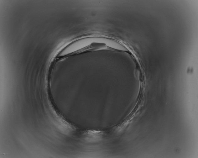 X0000090760055200708031639