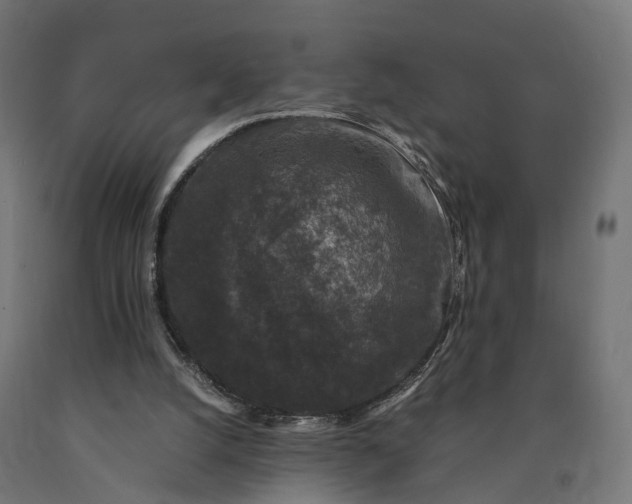 X0000090760056200708031639