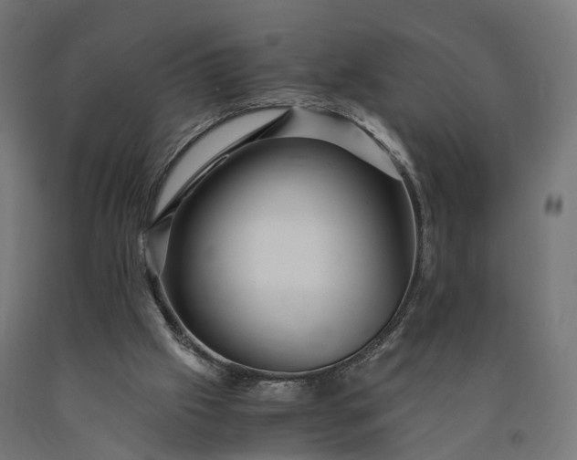 X0000090760057200708031639