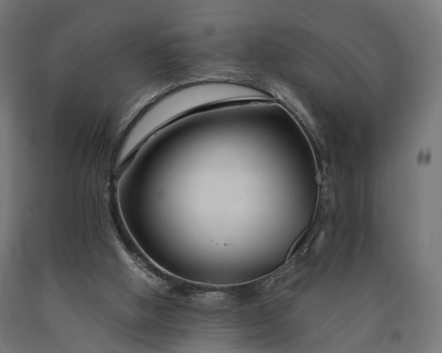 X0000090760058200708031639