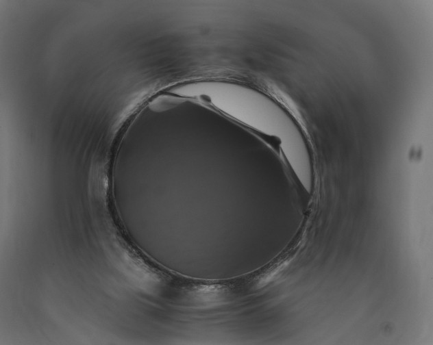 X0000090760059200708031639