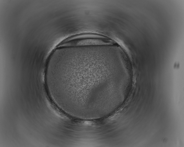 X0000090760060200708031639