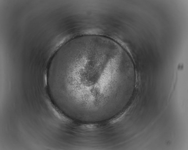 X0000090760061200708031639