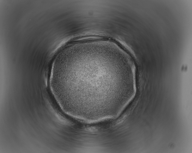 X0000090760062200708031639