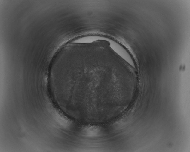 X0000090760063200708031639