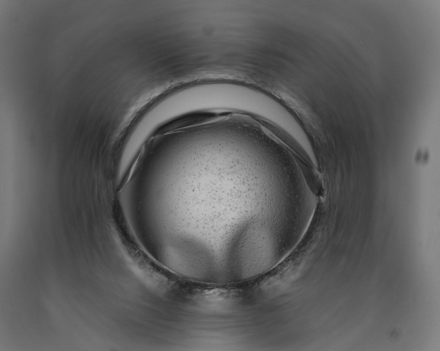 X0000090760064200708031639