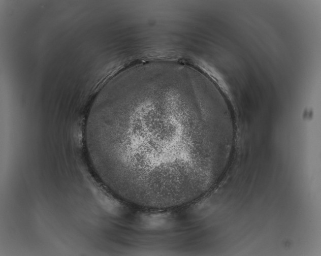 X0000090760065200708031639