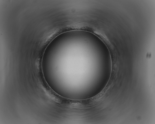 X0000090760066200708031639