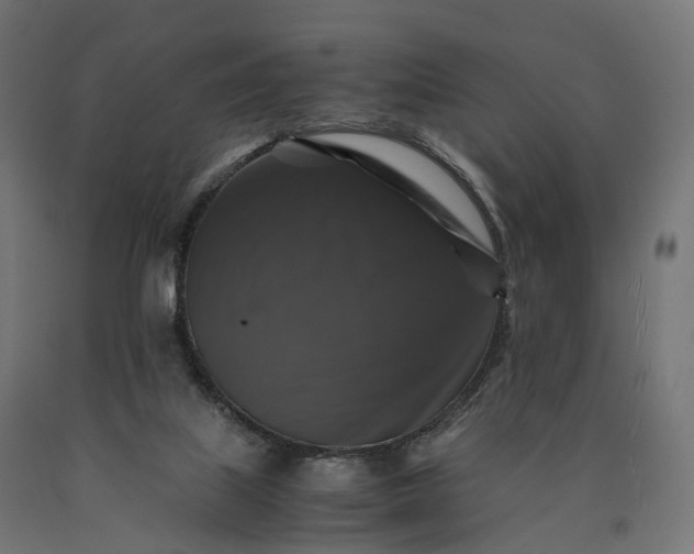 X0000090760067200708031639