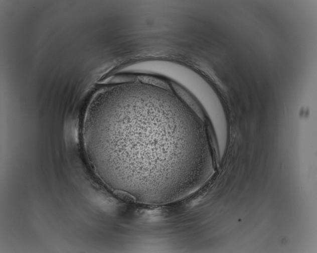 X0000090760068200708031639