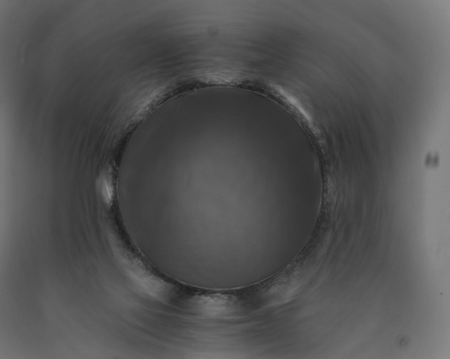 X0000090760069200708031640