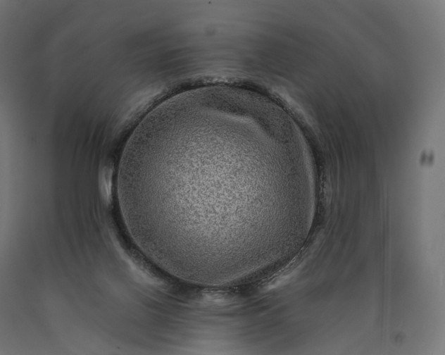 X0000090760070200708031640