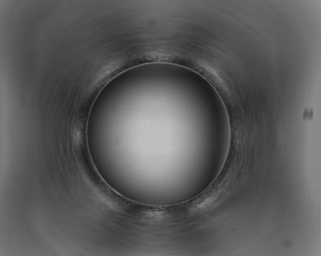 X0000090760071200708031640