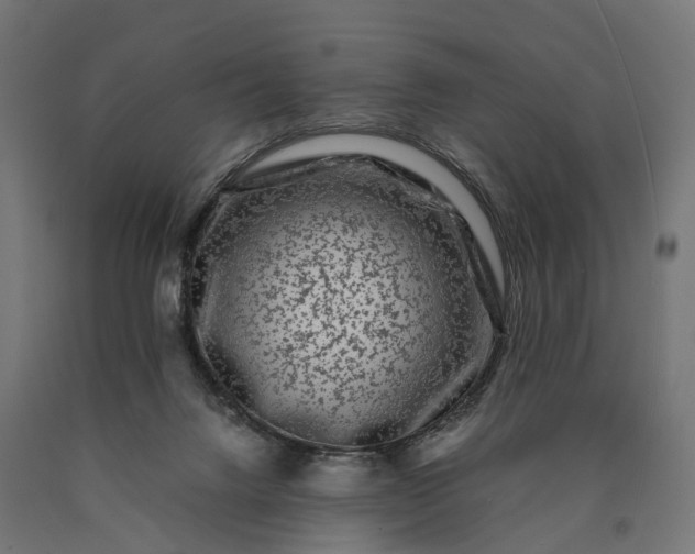 X0000090760072200708031640