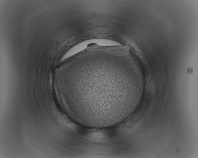 X0000090760073200708031640