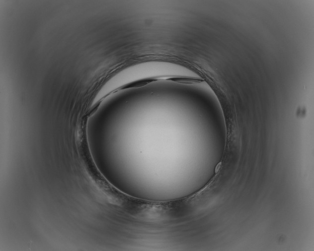 X0000090760074200708031640