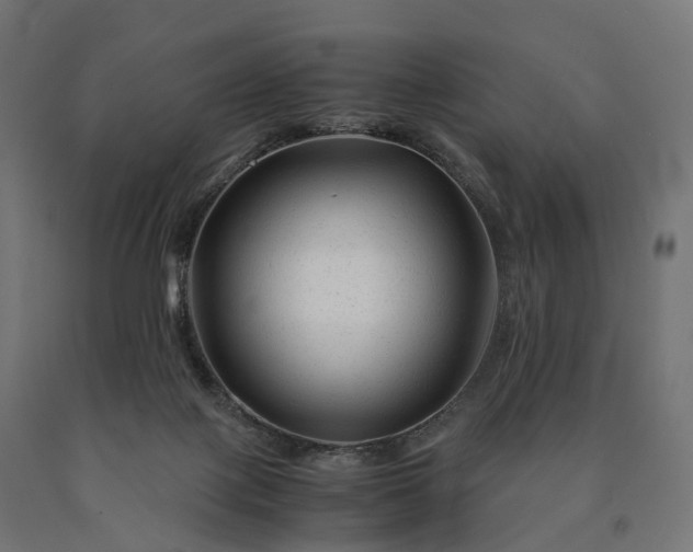 X0000090760075200708031640