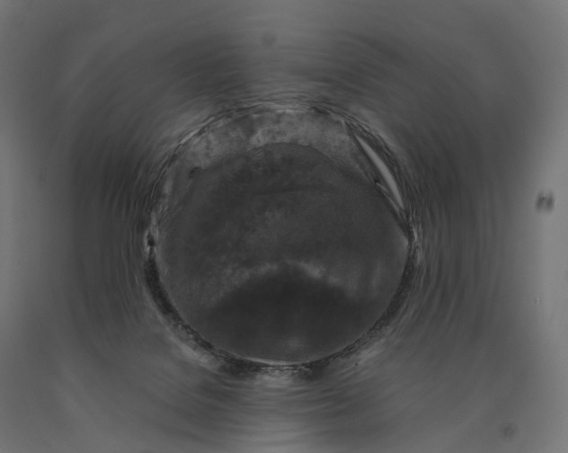 X0000090760076200708031640