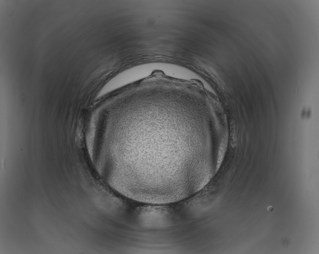 X0000090760077200708031640