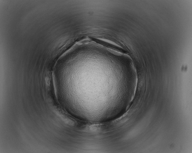 X0000090760078200708031640