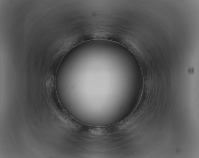 X0000090760079200708031640