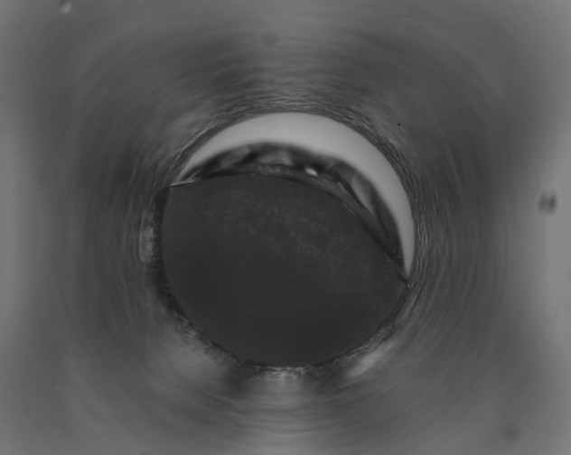 X0000090760080200708031640