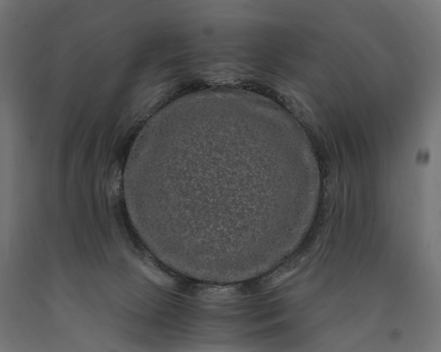 X0000090760081200708031640