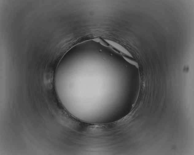 X0000090760082200708031640