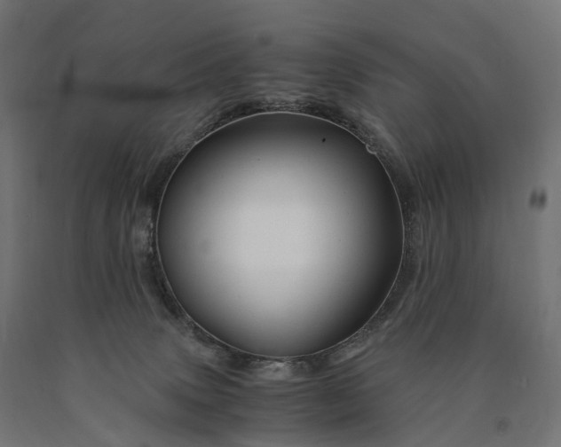 X0000090760083200708031640